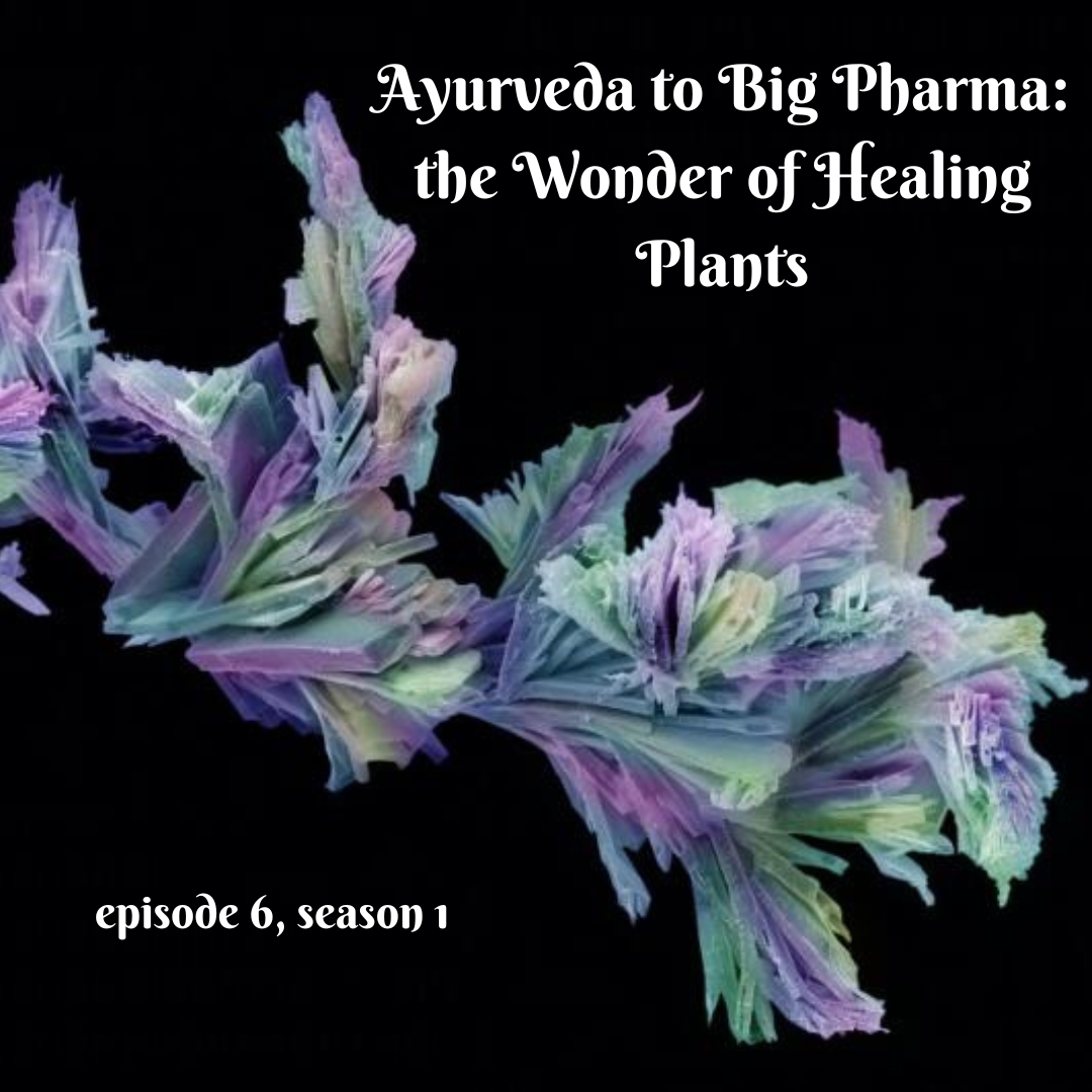 Ayurveda to Big Pharma: the Wonder of Healing Plants